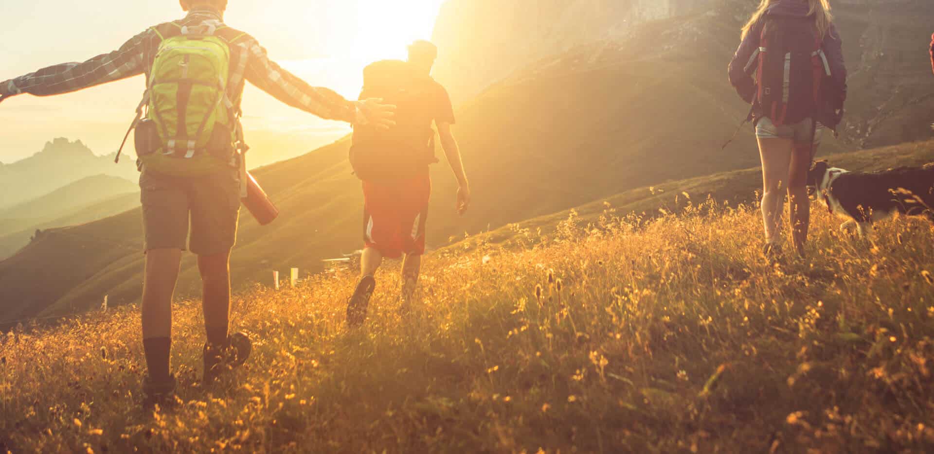 Three people walking through an open field